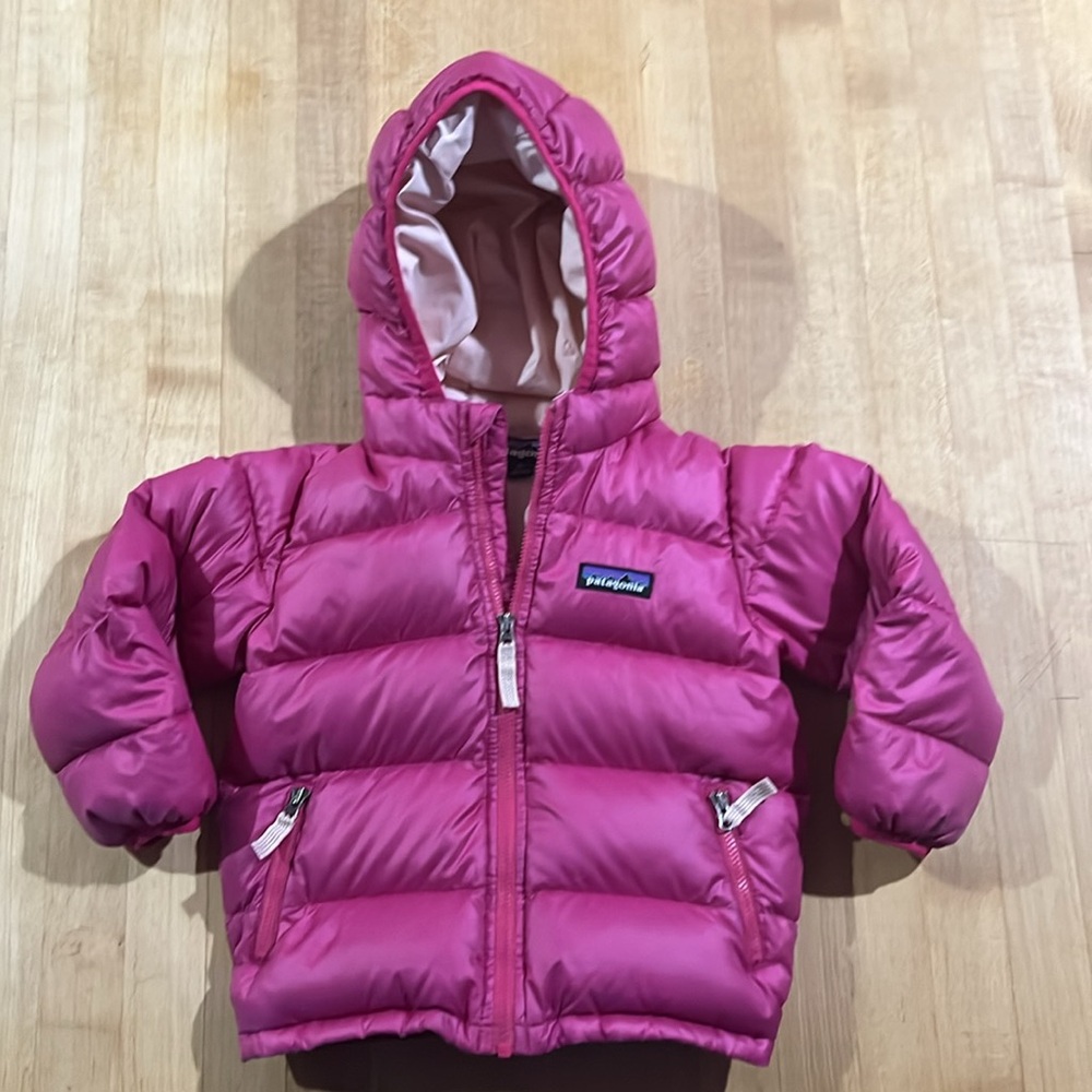 Patagonia Hi-Loft Down Toddler Coat